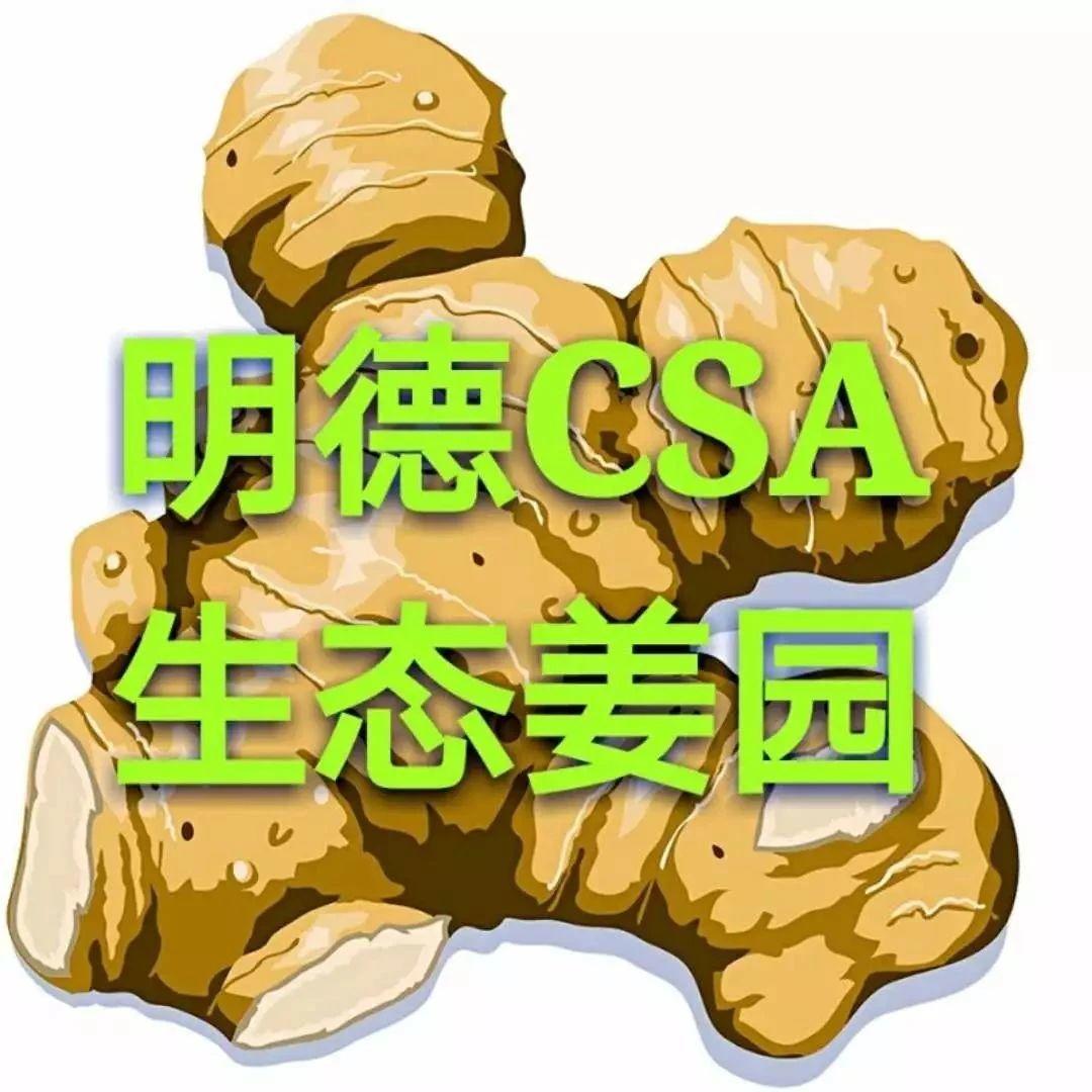寒邪都来了！喝一碗正气姜汤  奉一炷恭敬清香。清明与姜，谁也离不了谁-七不姜 生姜养生网-明德CSA生态姜园&明安农业