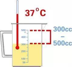 原始点小黄姜的应用 第16版 2020.2(首发) 原始点小黄姜的应用 第16版 2020.2(首发)