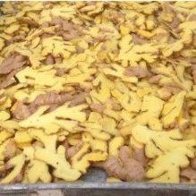 原始点姜的应用 新第16版 图片-七不姜 生姜养生网-明德CSA生态姜园&明安农业