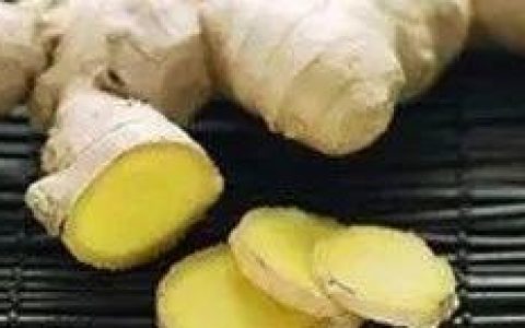 原始点小黄姜的应用 第16版 2020.2(首发)-七不姜 生姜养生网-明德CSA生态姜园&明安农业