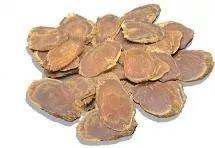 原始点小黄姜的应用 第16版 2020.2(首发) 原始点小黄姜的应用 第16版 2020.2(首发)