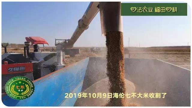 预售特惠听佛号的东北富硒大米 2020年秋收七不海伦富硒大米 东北大米 硒都海伦黑土寒地香稻 心法农业 福田心耕恭献