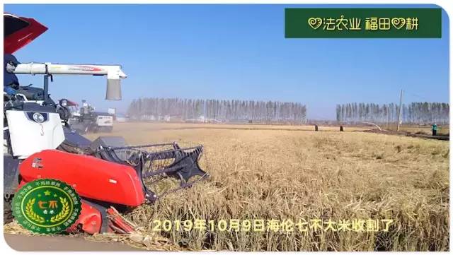 预售特惠听佛号的东北富硒大米 2020年秋收七不海伦富硒大米 东北大米 硒都海伦黑土寒地香稻 心法农业 福田心耕恭献
