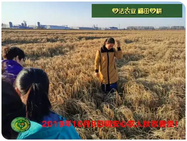 预售特惠听佛号的东北富硒大米 2020年秋收七不海伦富硒大米 东北大米 硒都海伦黑土寒地香稻 心法农业 福田心耕恭献
