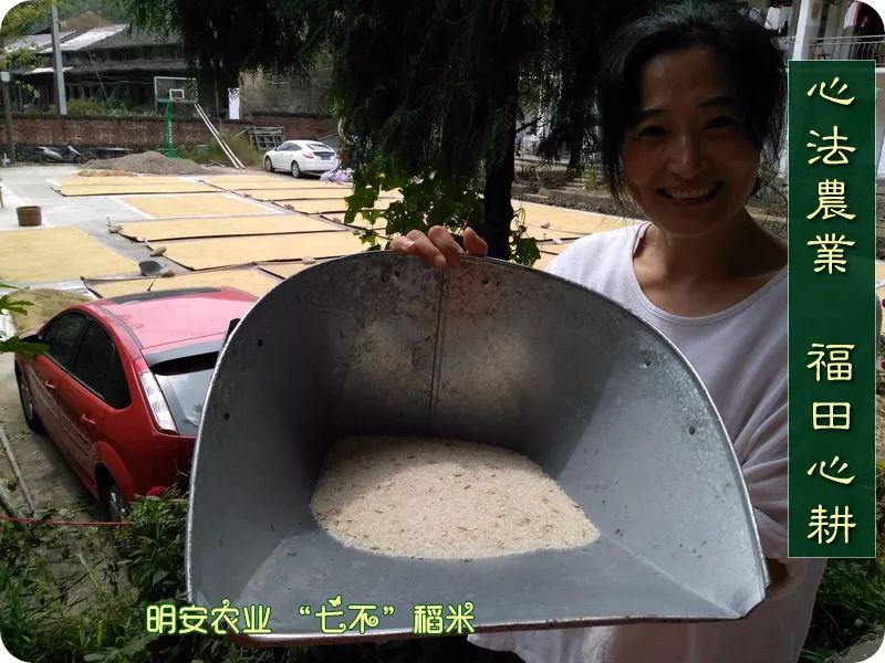 预售特惠听佛号的东北富硒大米 2020年秋收七不海伦富硒大米 东北大米 硒都海伦黑土寒地香稻 心法农业 福田心耕恭献