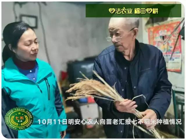 预售特惠听佛号的东北富硒大米 2020年秋收七不海伦富硒大米 东北大米 硒都海伦黑土寒地香稻 心法农业 福田心耕恭献