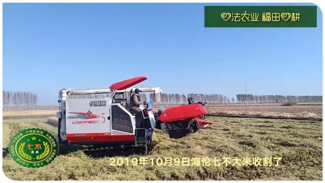 预售特惠听佛号的东北富硒大米 2020年秋收七不海伦富硒大米 东北大米 硒都海伦黑土寒地香稻 心法农业 福田心耕恭献