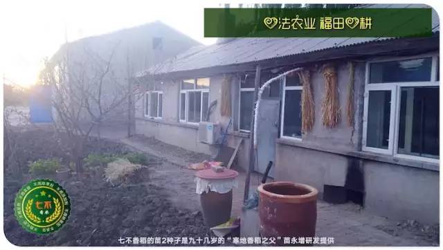 预售特惠听佛号的东北富硒大米 2020年秋收七不海伦富硒大米 东北大米 硒都海伦黑土寒地香稻 心法农业 福田心耕恭献