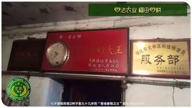 预售特惠听佛号的东北富硒大米 2020年秋收七不海伦富硒大米 东北大米 硒都海伦黑土寒地香稻 心法农业 福田心耕恭献