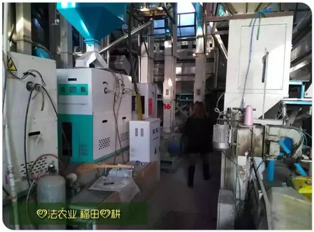 预售特惠听佛号的东北富硒大米 2020年秋收七不海伦富硒大米 东北大米 硒都海伦黑土寒地香稻 心法农业 福田心耕恭献