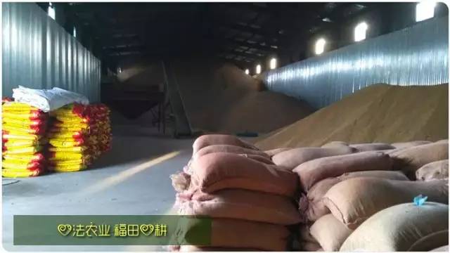 预售特惠听佛号的东北富硒大米 2020年秋收七不海伦富硒大米 东北大米 硒都海伦黑土寒地香稻 心法农业 福田心耕恭献