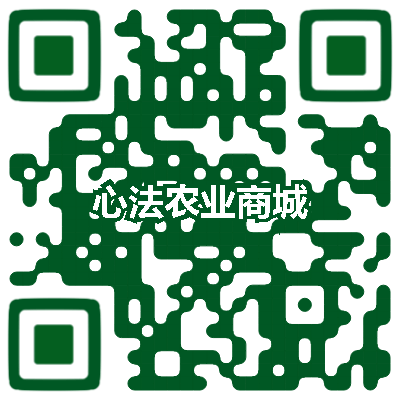 预售特惠听佛号的东北富硒大米 2020年秋收七不海伦富硒大米 东北大米 硒都海伦黑土寒地香稻 心法农业 福田心耕恭献