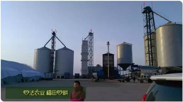 预售特惠听佛号的东北富硒大米 2020年秋收七不海伦富硒大米 东北大米 硒都海伦黑土寒地香稻 心法农业 福田心耕恭献