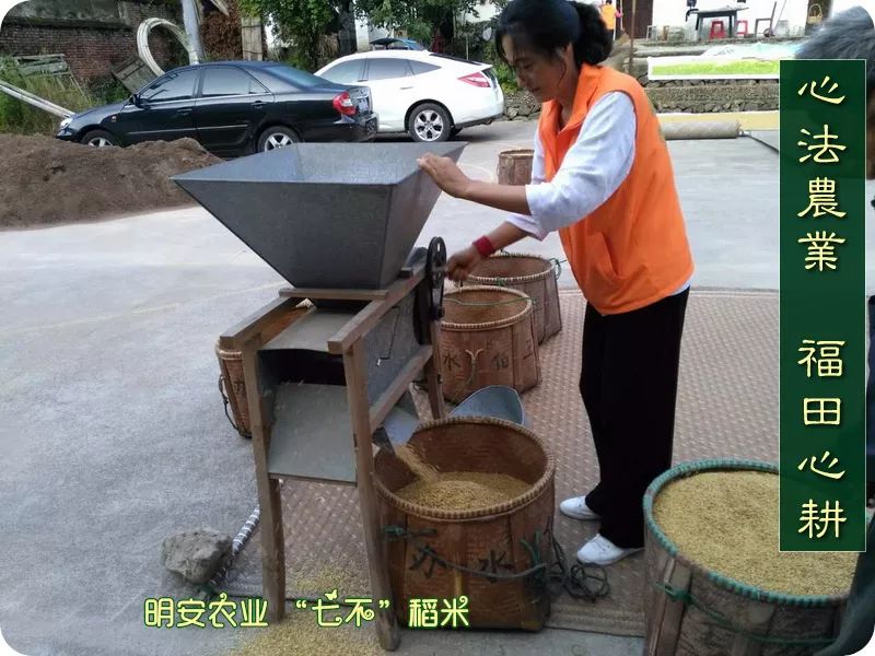 预售特惠听佛号的东北富硒大米 2020年秋收七不海伦富硒大米 东北大米 硒都海伦黑土寒地香稻 心法农业 福田心耕恭献 预售特惠听佛号的东北富硒大米 2020年秋收七不海伦富硒大米 东北大米 硒都海伦黑土寒地香稻 心法农业 福田心耕恭献