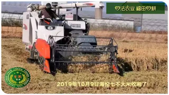 预售特惠听佛号的东北富硒大米 2020年秋收七不海伦富硒大米 东北大米 硒都海伦黑土寒地香稻 心法农业 福田心耕恭献