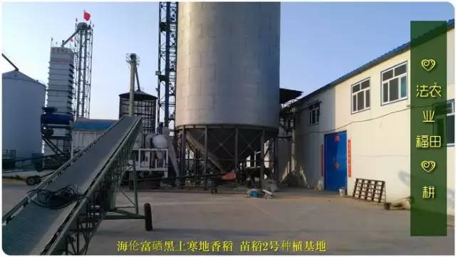 预售特惠听佛号的东北富硒大米 2020年秋收七不海伦富硒大米 东北大米 硒都海伦黑土寒地香稻 心法农业 福田心耕恭献