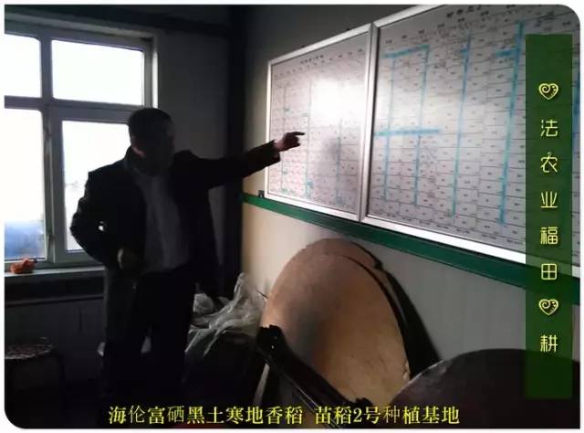 预售特惠听佛号的东北富硒大米 2020年秋收七不海伦富硒大米 东北大米 硒都海伦黑土寒地香稻 心法农业 福田心耕恭献