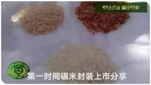 预售特惠听佛号的东北富硒大米 2020年秋收七不海伦富硒大米 东北大米 硒都海伦黑土寒地香稻 心法农业 福田心耕恭献