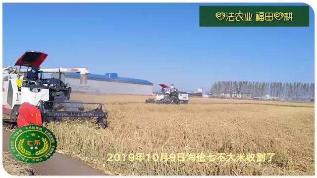 预售特惠听佛号的东北富硒大米 2020年秋收七不海伦富硒大米 东北大米 硒都海伦黑土寒地香稻 心法农业 福田心耕恭献