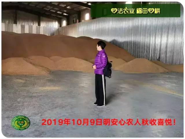 预售特惠听佛号的东北富硒大米 2020年秋收七不海伦富硒大米 东北大米 硒都海伦黑土寒地香稻 心法农业 福田心耕恭献
