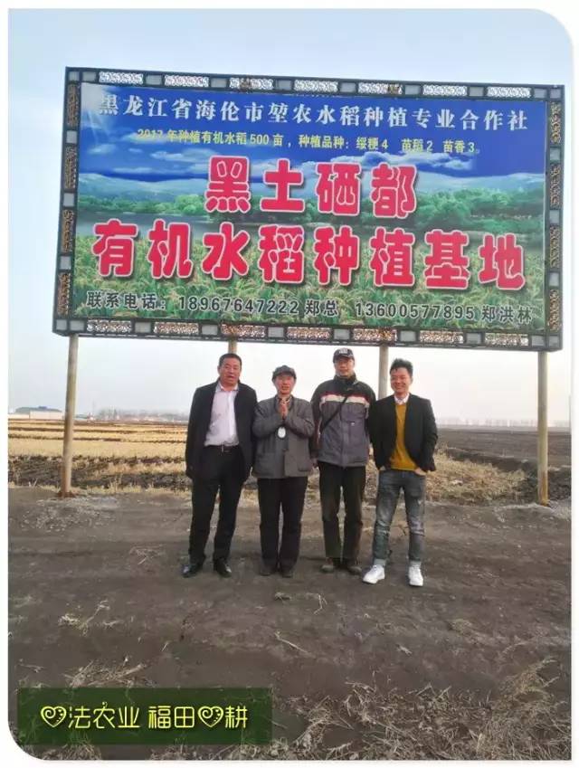 预售特惠听佛号的东北富硒大米 2020年秋收七不海伦富硒大米 东北大米 硒都海伦黑土寒地香稻 心法农业 福田心耕恭献