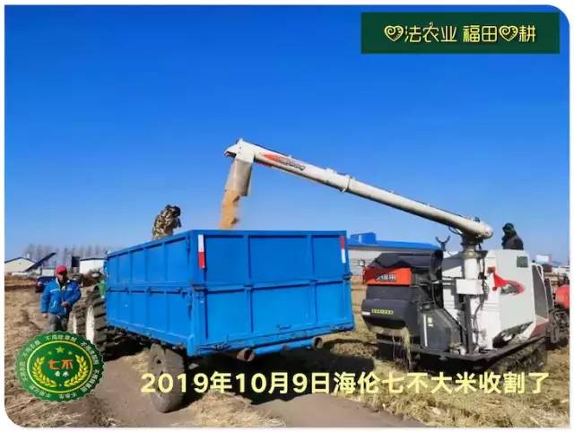 预售特惠听佛号的东北富硒大米 2020年秋收七不海伦富硒大米 东北大米 硒都海伦黑土寒地香稻 心法农业 福田心耕恭献