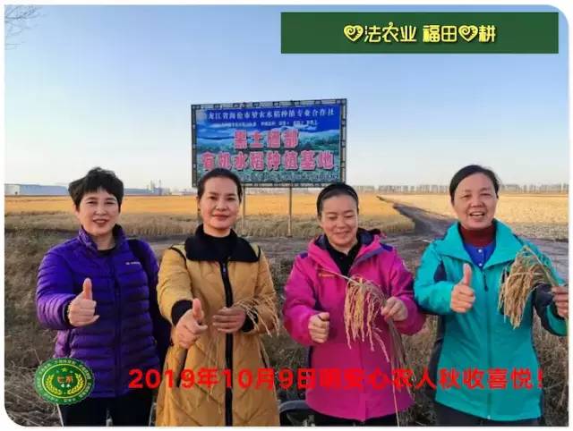 预售特惠听佛号的东北富硒大米 2020年秋收七不海伦富硒大米 东北大米 硒都海伦黑土寒地香稻 心法农业 福田心耕恭献