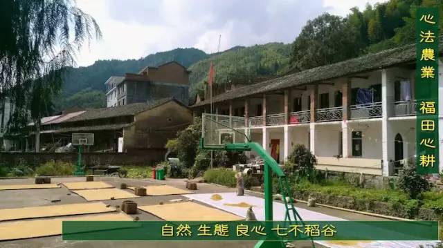 预售特惠听佛号的东北富硒大米 2020年秋收七不海伦富硒大米 东北大米 硒都海伦黑土寒地香稻 心法农业 福田心耕恭献