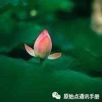 浙江 原始点通讯录-七不姜 生姜养生网-明德CSA生态姜园&明安农业