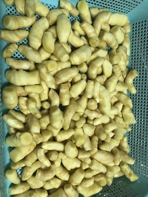 泡姜芽的做法 步骤1