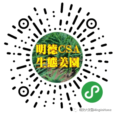 看过来！ヾ(●´∇｀●)ﾉ哇～招募原始点分销代理诚招心法农业七不姜网络分销代理；！“七不”小黄姜网络分销代理