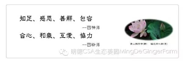 我们是谁?我们要干什么?关于我们-心法农业 七不姜 明德CSA生态姜园..还有心农人... 我们是谁?我们要干什么?关于我们-心法农业 七不姜 明德CSA生态姜园..还有心农人...