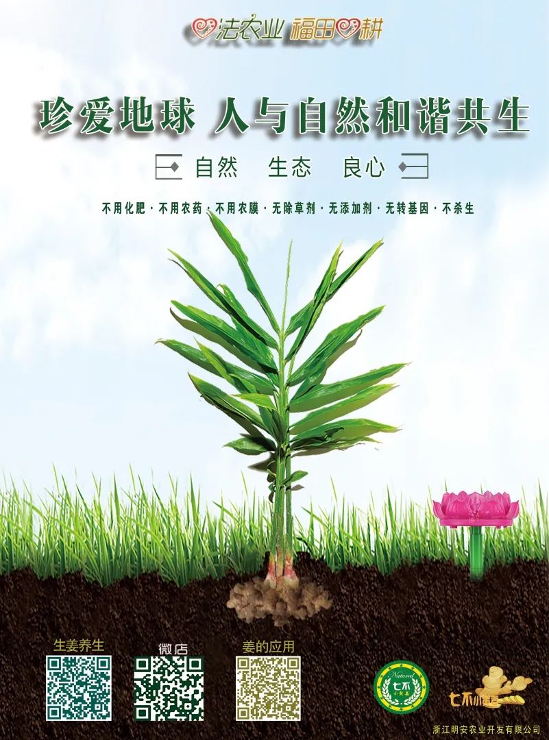 明德CSA生态姜园 2020年国庆节及中秋节放假及营业时间公告 明德CSA生态姜园 2020年国庆节及中秋节放假及营业时间公告