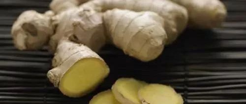 一起和孔子苏轼徐霞客齐呼：吃姜啊吃姜啊-七不姜 生姜养生网-明德CSA生态姜园&明安农业