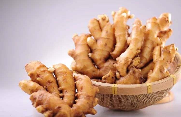 一起和孔子苏轼徐霞客齐呼:吃姜啊吃姜啊 一起和孔子苏轼徐霞客齐呼:吃姜啊吃姜啊