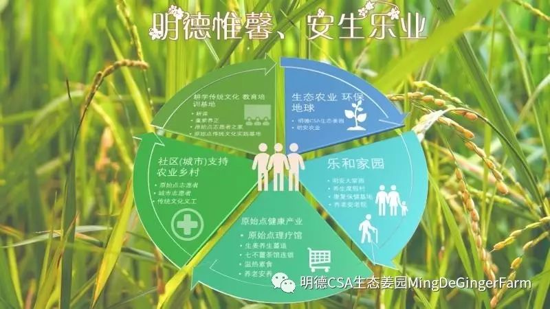 心法农业 福田心耕 明德CSA生态姜园发起股东及创业团队介绍一
