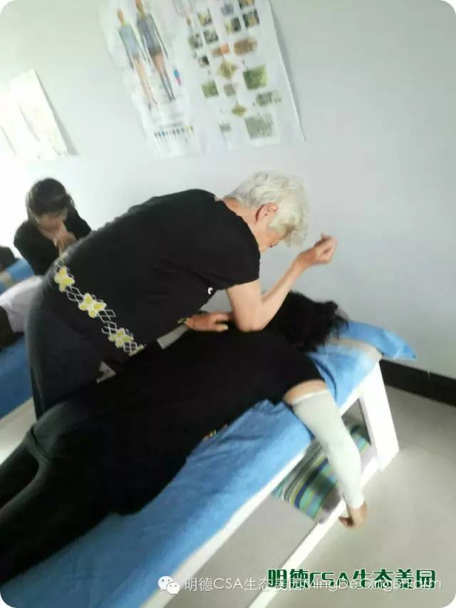 心法农业 福田心耕 明德CSA生态姜园发起股东及创业团队介绍一