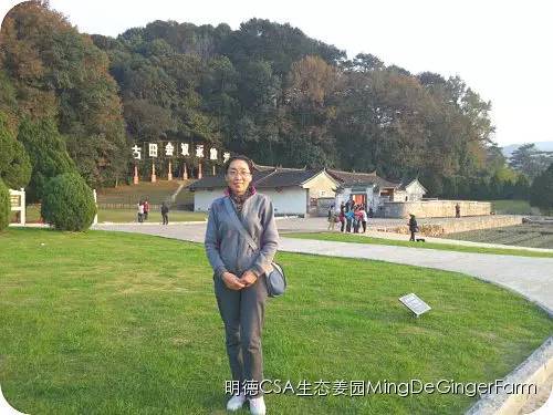 心法农业 福田心耕 明德CSA生态姜园发起股东及创业团队介绍一