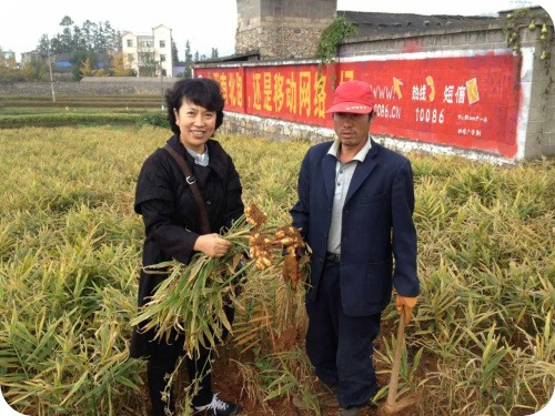 心法农业 福田心耕 明德CSA生态姜园发起股东及创业团队介绍一