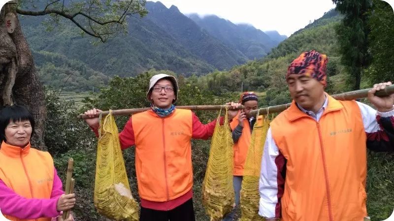 心法农业 福田心耕 明德CSA生态姜园发起股东及创业团队介绍一