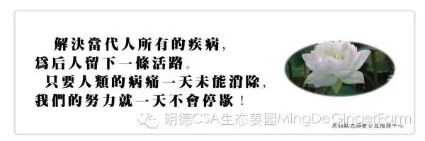 心法农业 福田心耕 明德CSA生态姜园发起股东及创业团队介绍一 心法农业 福田心耕 明德CSA生态姜园发起股东及创业团队介绍一