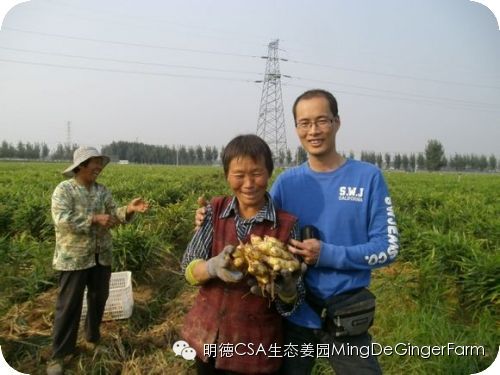 心法农业 福田心耕 明德CSA生态姜园发起股东及创业团队介绍一 心法农业 福田心耕 明德CSA生态姜园发起股东及创业团队介绍一