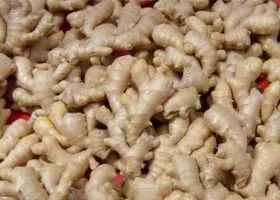教你正确存放生姜鲜姜方法，放一个月都新鲜，真是太厉害了