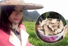 纯正湖南小黄姜干姜片,给您一份浓浓的爱……-七不姜 生姜养生网-明德CSA生态姜园&明安农业