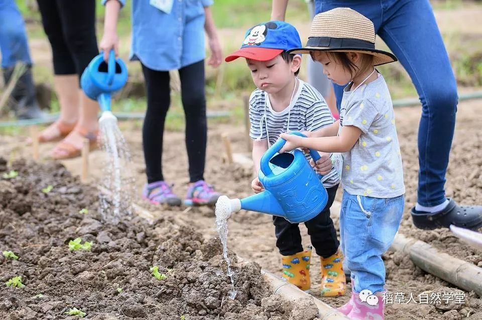 探访清迈Ginger Farm(2018.7.7) 探访清迈Ginger Farm(2018.7.7)