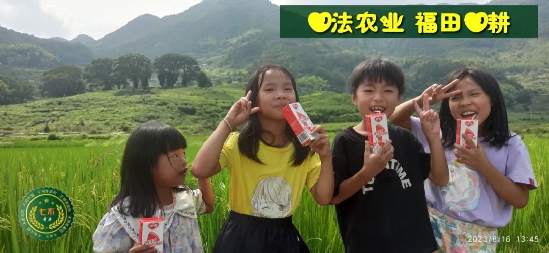 中秋国庆 七不姜赞歌-浙江仙居 七不小黄姜 鲜嫩姜 新鲜 上市现采现发;秋收水稻大米预售特惠 送七不自酿会员定制白酒中秋赠品 中秋国庆 七不姜赞歌-浙江仙居 七不小黄姜 鲜嫩姜 新鲜 上市现采现发;秋收水稻大米预售特惠 送七不自酿会员定制白酒中秋赠品