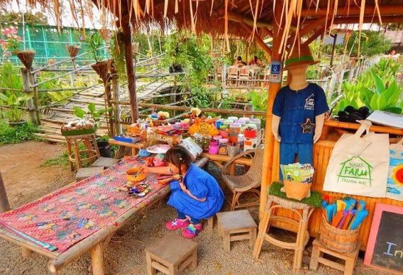 泰国这家亲子农场凭什么成为学习典范? 吸引全世界的目光 泰国这家亲子农场凭什么成为学习典范? 吸引全世界的目光