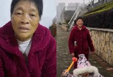 案例分享:70岁老人腹痛(医院初诊可能升结肠癌)飞蛾症、腿抽筋、失眠调理案例-七不姜 生姜养生网-明德CSA生态姜园&明安农业