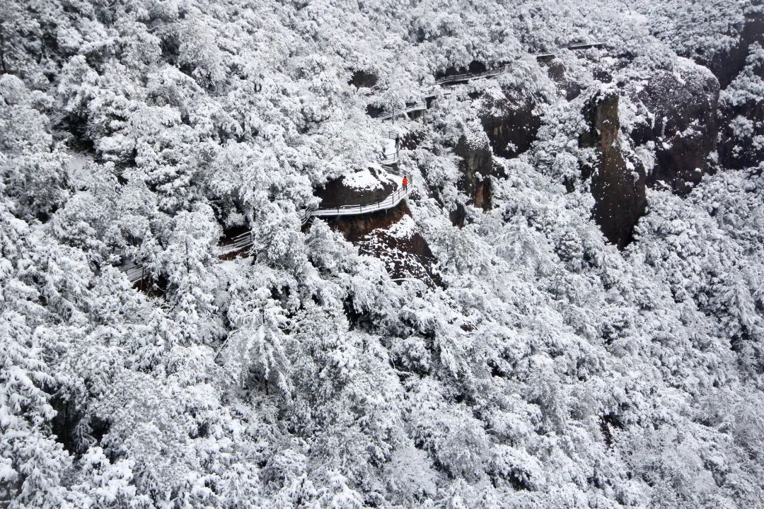 仙居仙景 | 想你的风还是吹到了仙居,“尔滨”老铁们!看仙居给咱整点啥→ 仙居仙景 | 想你的风还是吹到了仙居,“尔滨”老铁们!看仙居给咱整点啥→
