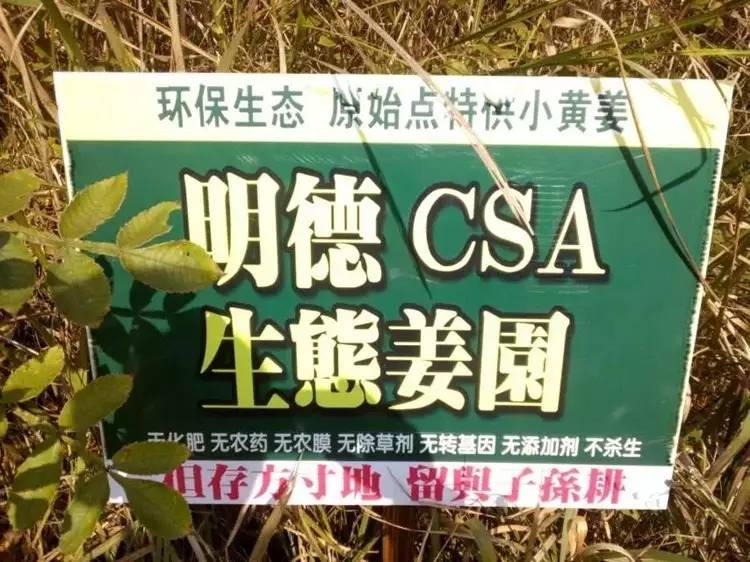 原始点医学-拍打拉筋-自愈法探索心路历程